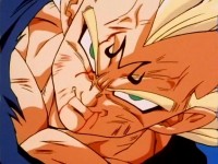 /album/fotogaleria/majin-jpg/