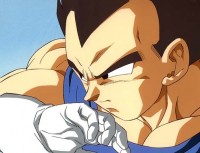 /album/fotogaleria/vegeta2-jpg/