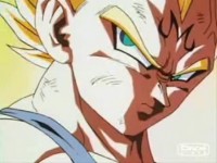 /album/fotogaleria/vegeta10-jpg/