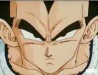 /album/fotogaleria/vegeta12-jpg/