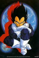 /album/fotogaleria/vegeta17-jpg/
