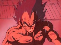 /album/fotogaleria/vegeta37-jpg/